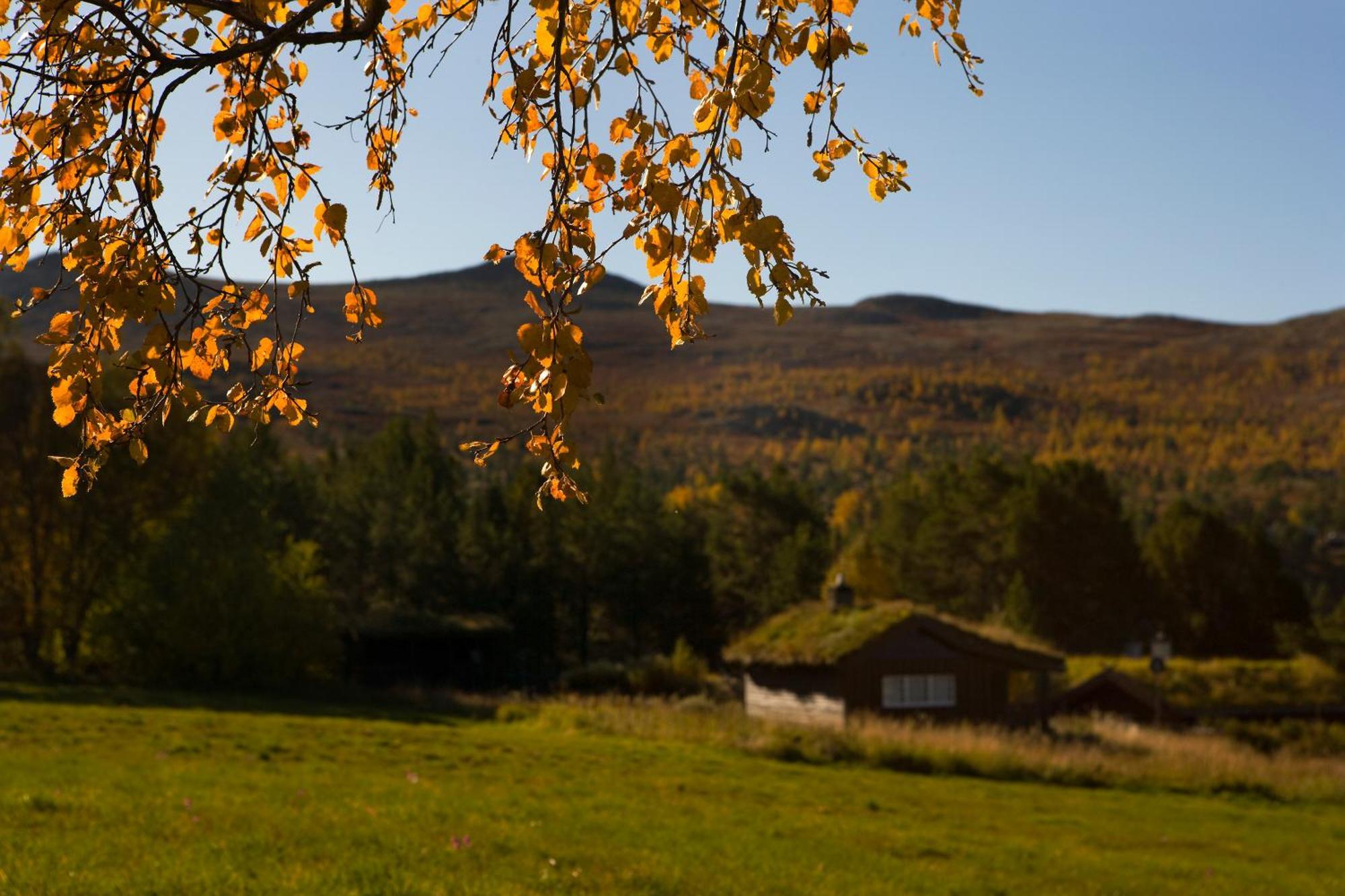 Oigardseter Fjellstue Høvringen Exterior foto